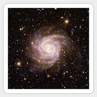 Euclid IC 342 Spiral Galaxy Sticker